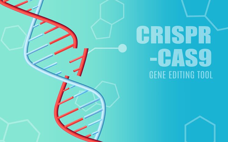 Non-GMO advocates hail 'first open source detection test' for a gene-edited GM crop