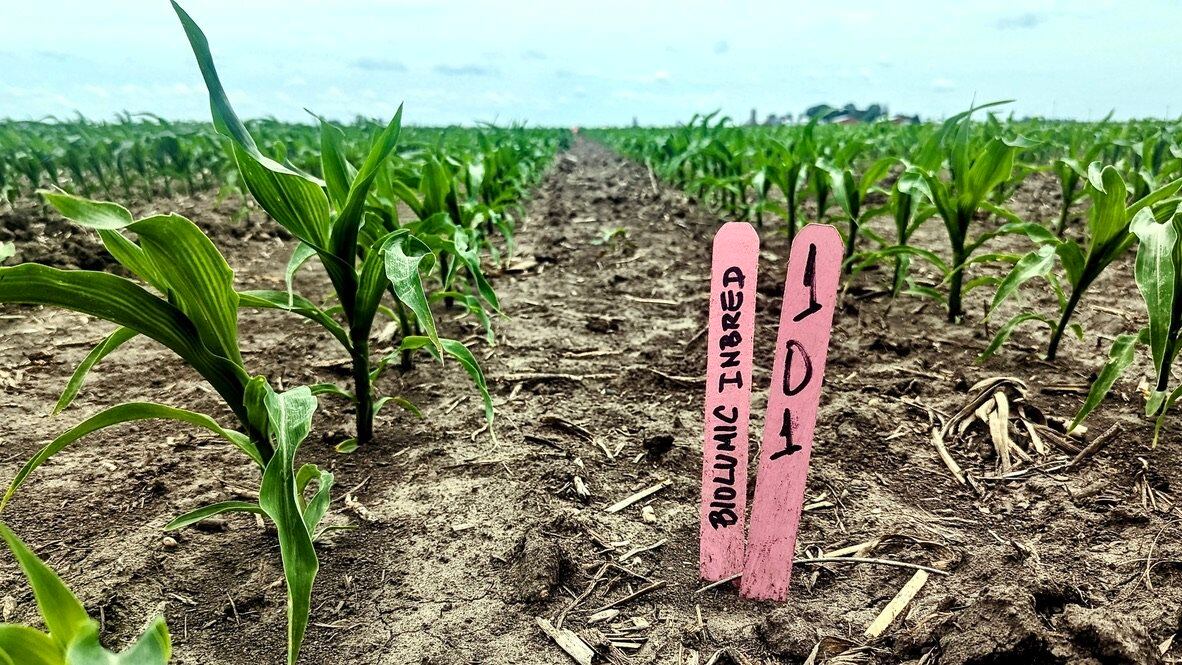 BioLumic sheds light on its UV tech as it partners with seed majors