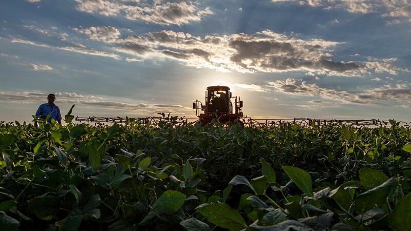 Farmers in brazil
