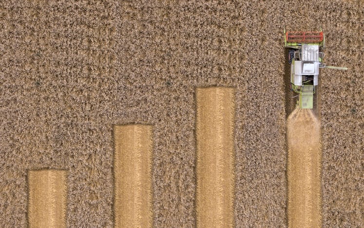 Crop and feed market insights: WASDE, Brazilian weather, and soybean outlook