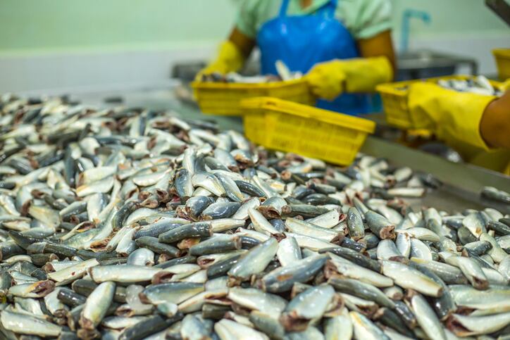Feed makers, retailers react after claims of irresponsible fishmeal and fish oil sourcing 