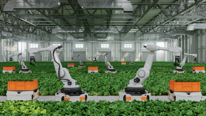 From Field to Vertical - Transforming Fresh Produce Production 