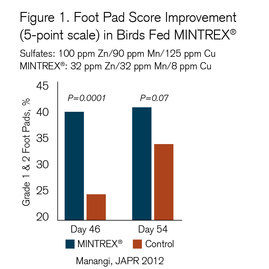 Graph1-Mintrex-Foot-Pad-final-12.16.21.png