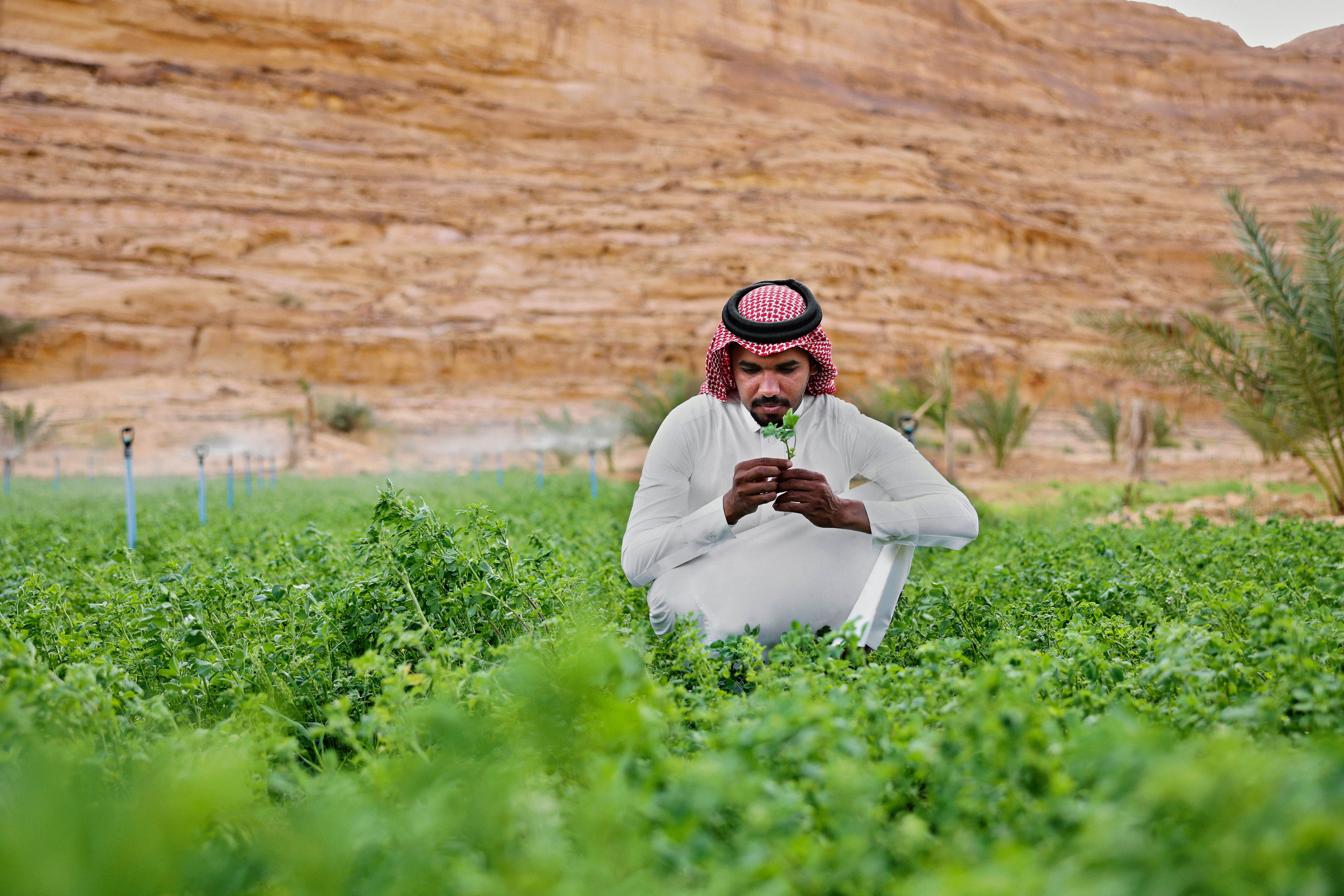 Co-design ‘critical’ to overcoming smallholder adoption 