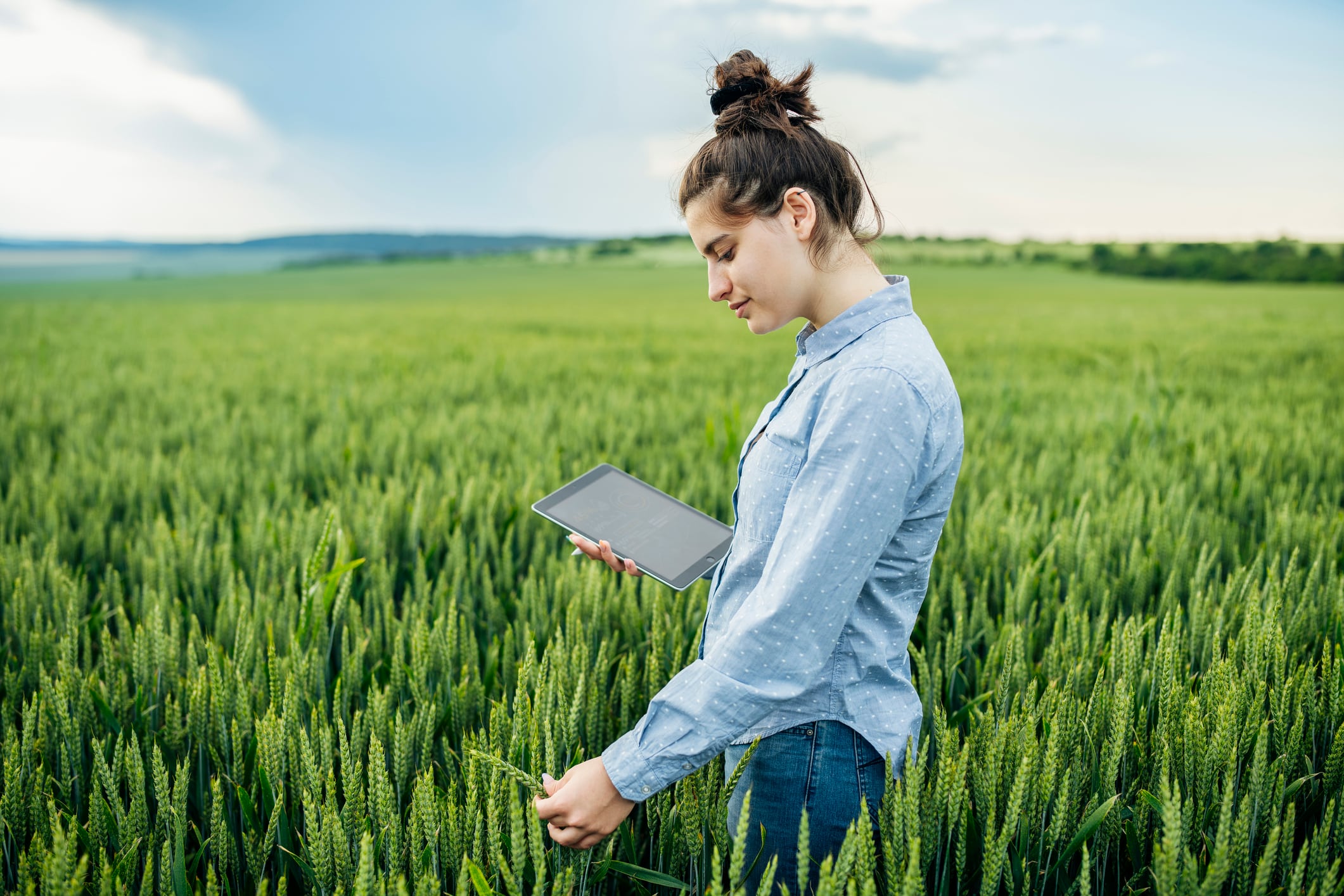 Biotope backs trio of agri-biotech start-ups tackling food resilience