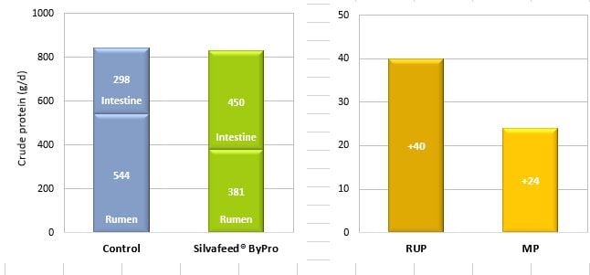 Capture.JPG-chart.jpg