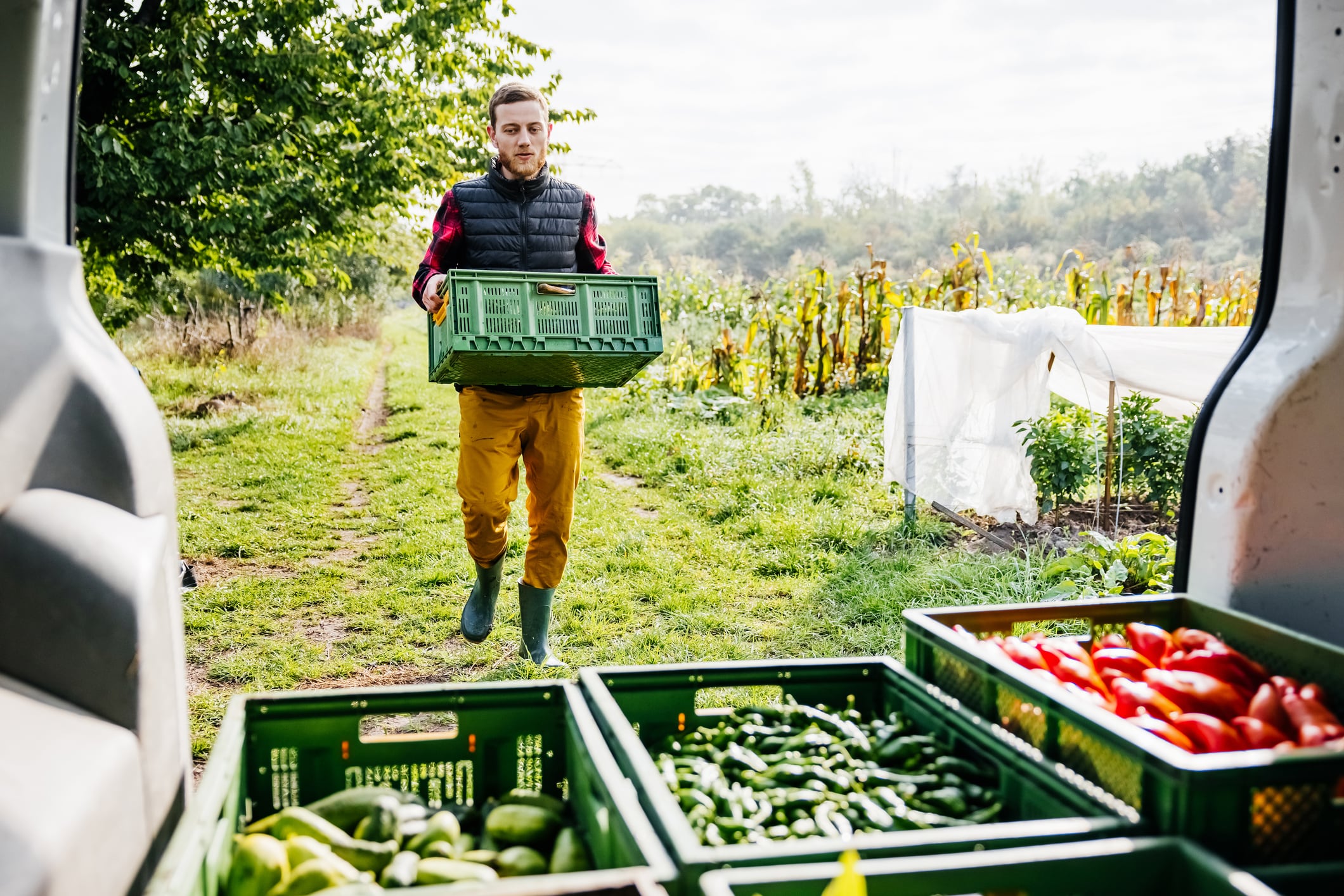 NeoFarm aims to build over 25 large-scale organic farms across Europe by 2030.