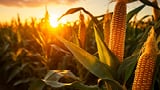 2023 mycotoxin landscape: A detailed look at mycotoxin patterns in Europe