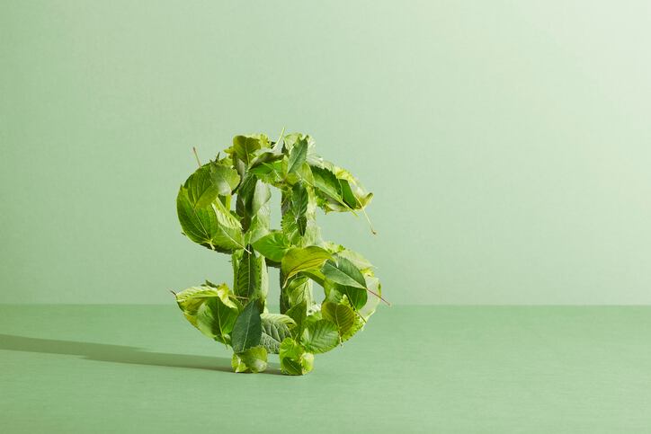 Enhancing sustainability in supply chains: Leveraging feed solutions for collective progress