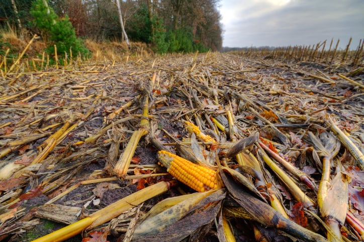 Not sticking to the status quo: Meet the start-up using agricultural waste to replace petroleum-based adhesives