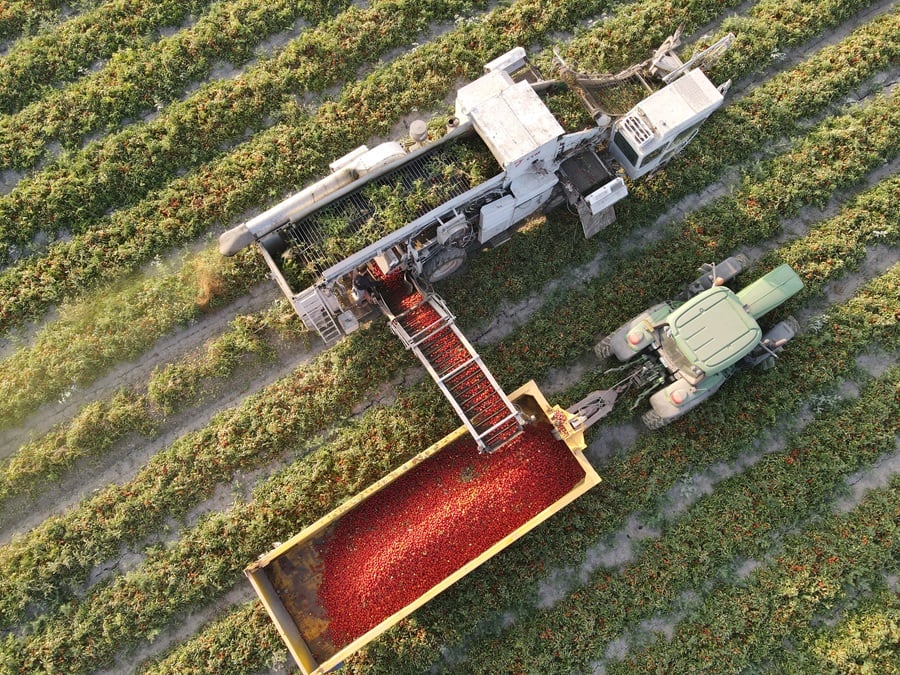 Seed enhancement tech aims to make deserts bloom