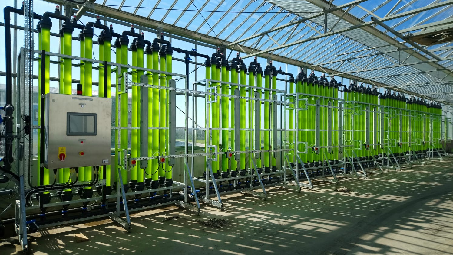 Creating wealth from waste: Converting nutrients from anaerobic digestion into algal feed protein