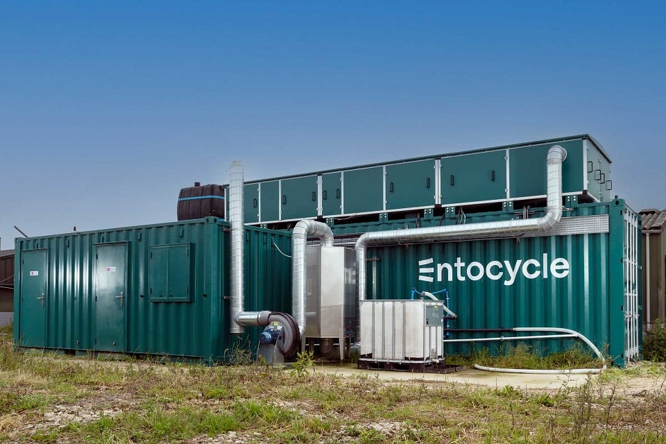 Entocycle raises $2.6m for international expansion as new insect facility opens in Leeds