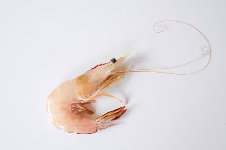 Study: Beta-glucan supplementation coupled with high vitamin C and E levels can boost antioxidant capacity of shrimp