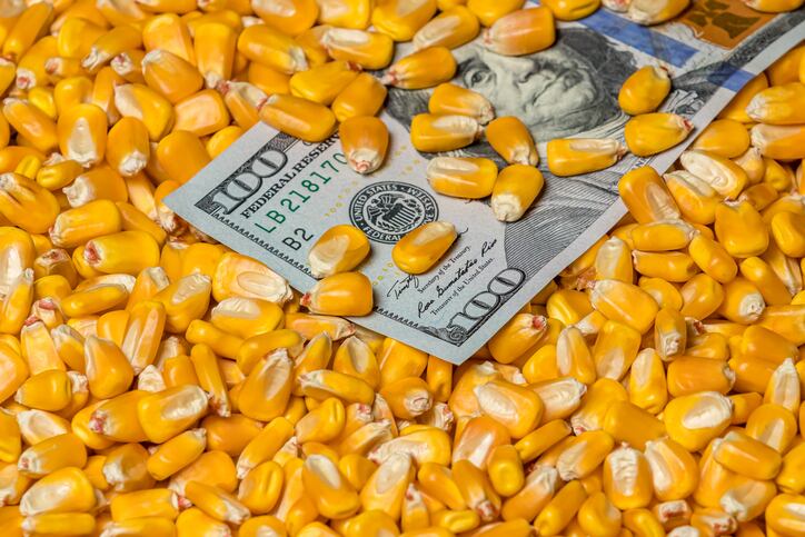 Navigating the complex grain marketing terrain