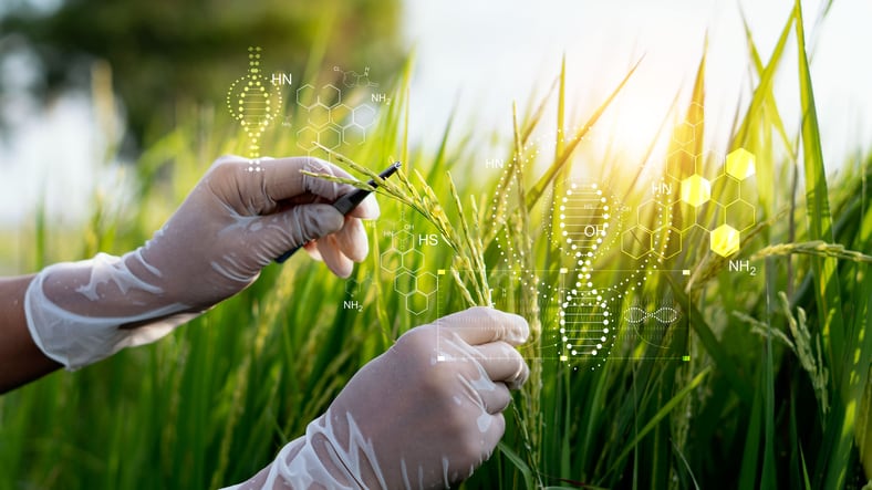 NGT legislation nears completion, but feed and oilseed groups raise concerns over labeling provisions