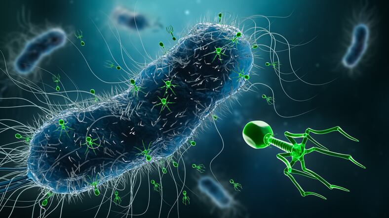 EMA approves phage therapy guidelines