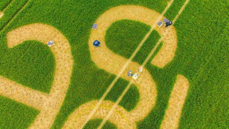 Syngenta believes its first quarter results reflect its transformation toward a higher-margin, innovation-led company, with strength in next-generation technologies, biologicals and AI-enabled agronomy solutions.