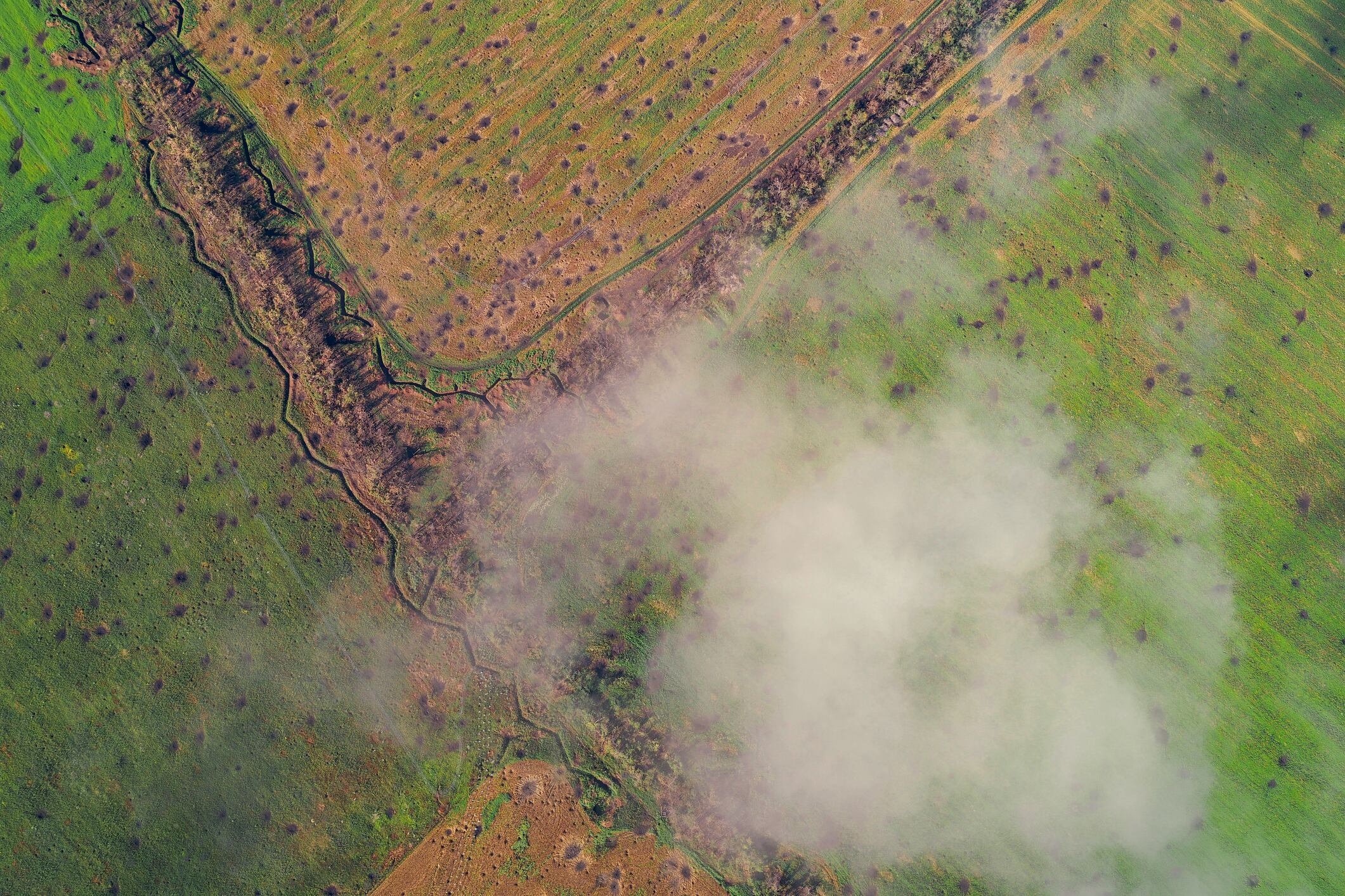 Ukraine’s agriculture sector is digitising rapidly partly because of the war.