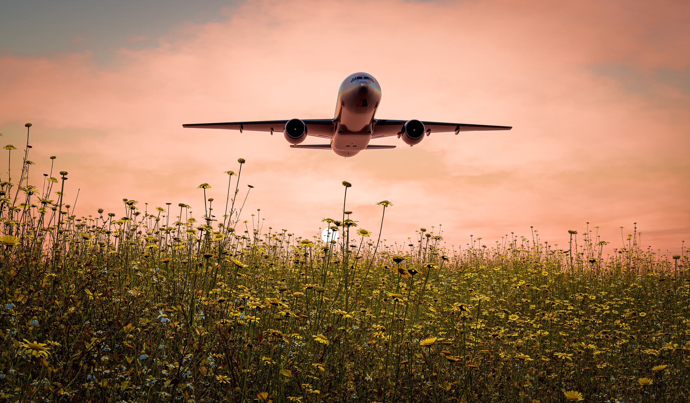The UK has a huge opportunity to become a leader in sustainable aviation fuels, but more feedstock options are needed in the long term.
