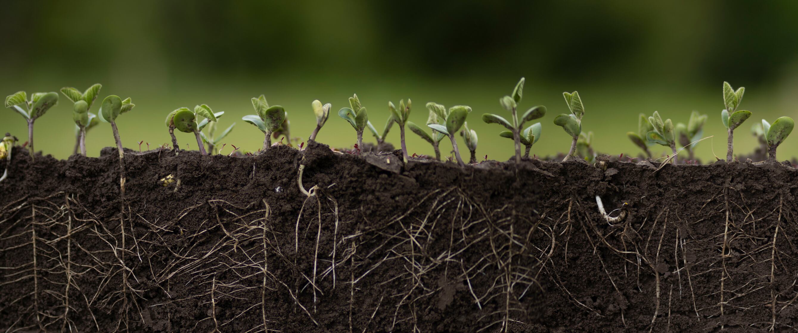 Arevo’s technology can reduce nitrogen emissions by up to 75 percent during planting – and in many cases close to zero.