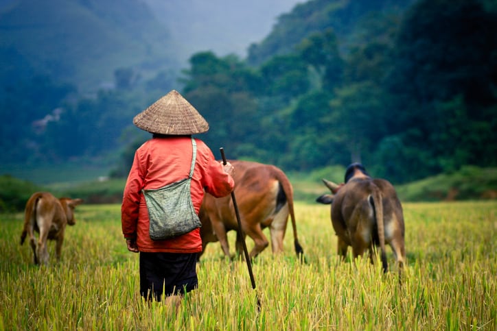 Meet the seven start-ups tasked with reshaping agri-food in Cambodia
