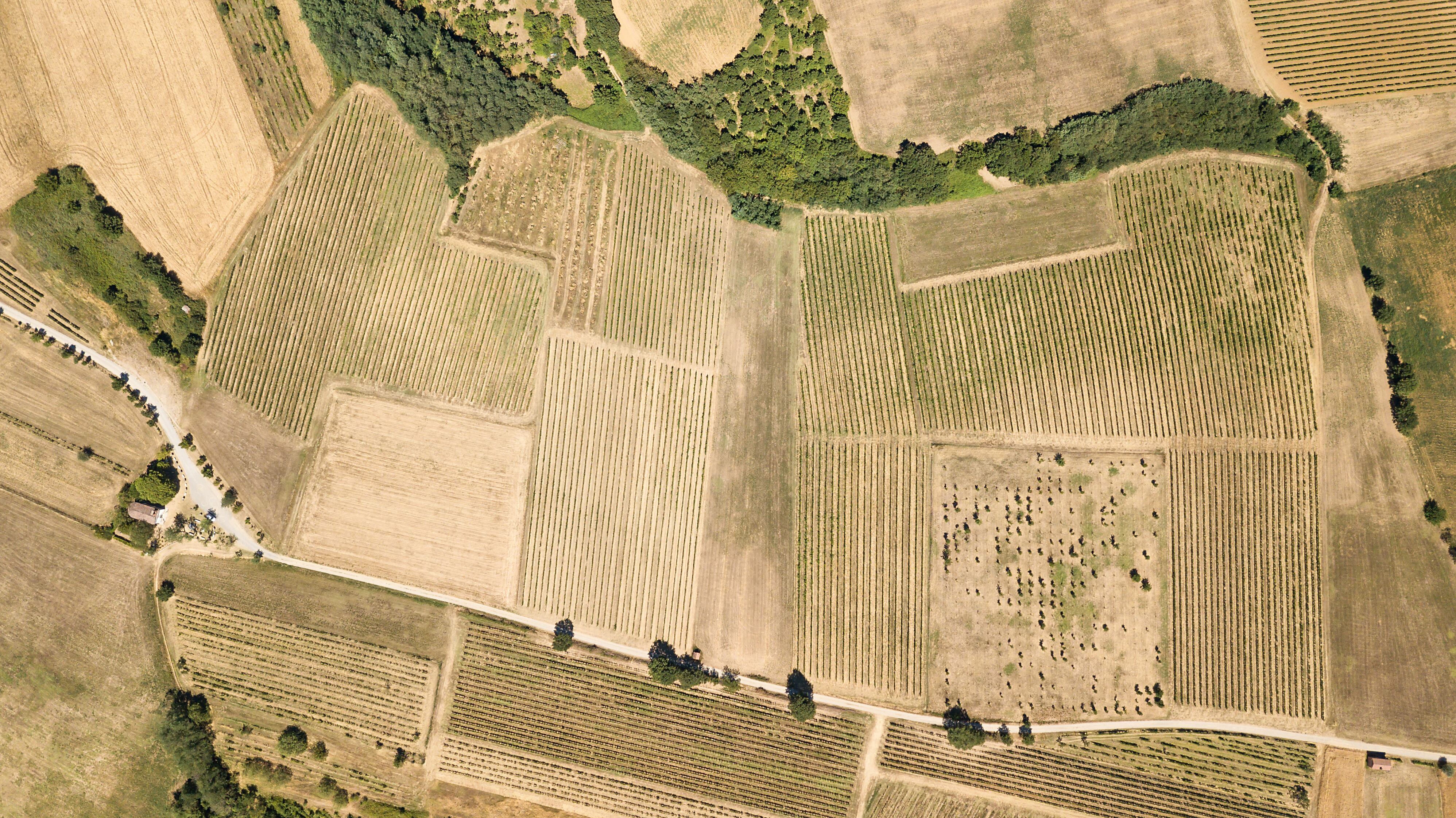 A French winery is to serve as a first real‑world pilot site to test how high‑resolution spectral data from orbit can support more precise vineyard management.