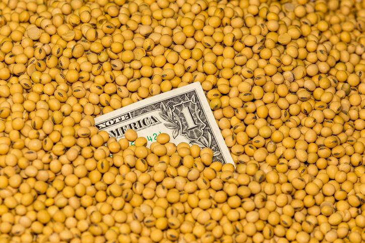 Soybean meal price outlook