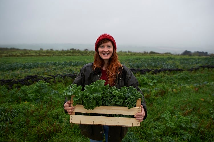 Are-red-nets-an-eco-friendly-alternative-to-pesticides.jpg