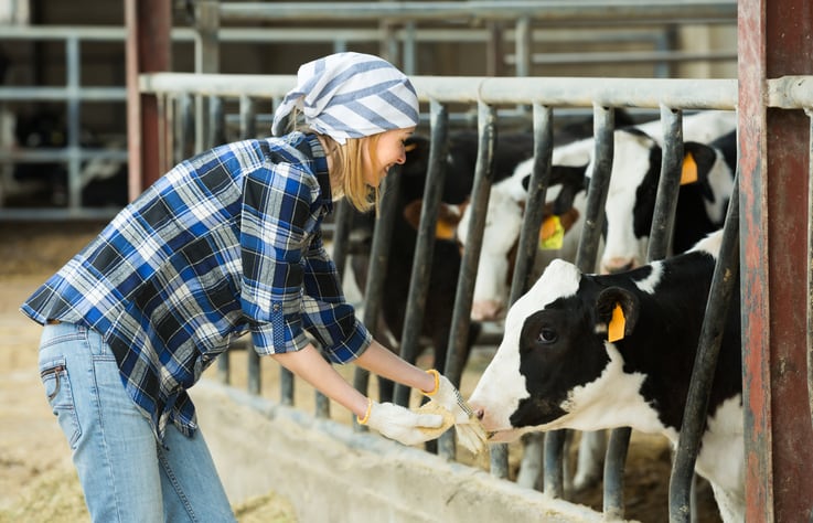 Precision-nutrition-approach-can-lower-feed-costs-and-make-dairy-farming-more-sustainable.jpg