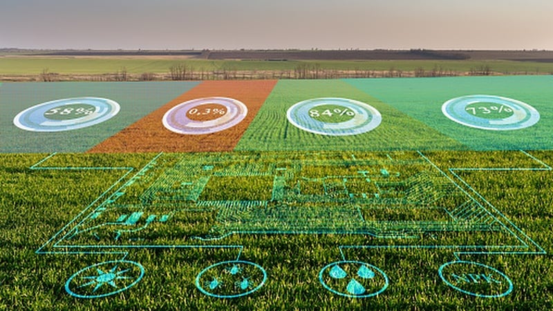 Coffee farming insurance: Nestlé integrates satellite-based protection scheme in Indonesia