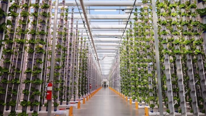 Eden-Green-Technology-on-how-patented-vertical-greenhouse-system-can-addresses-CEA-challenges.jpg