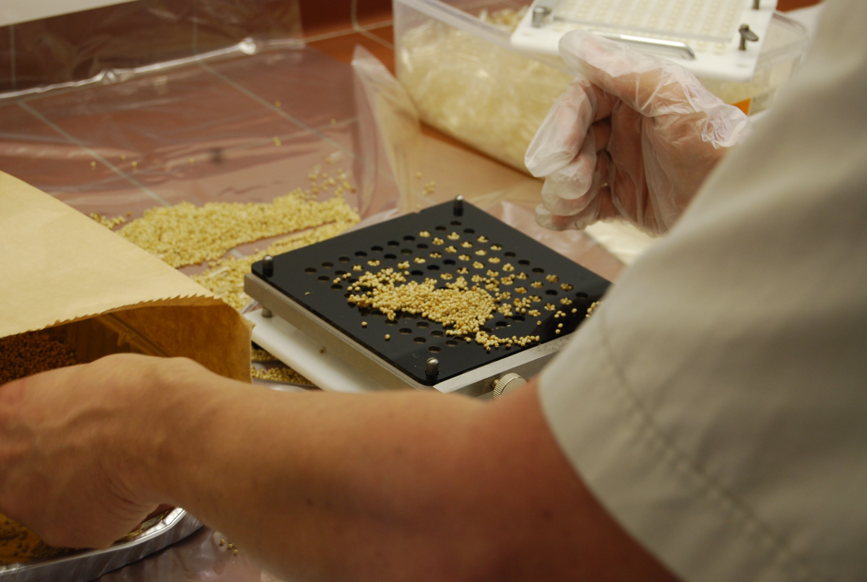 WHAT WE'VE LEARNED: Why industrial and academic collaboration is a 'huge benefit' for agtech – BioHerbicides Australia MD