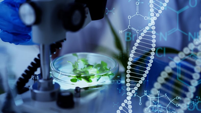 EU food retailers oppose any moves to classify new plant breeding techniques as non-GMO