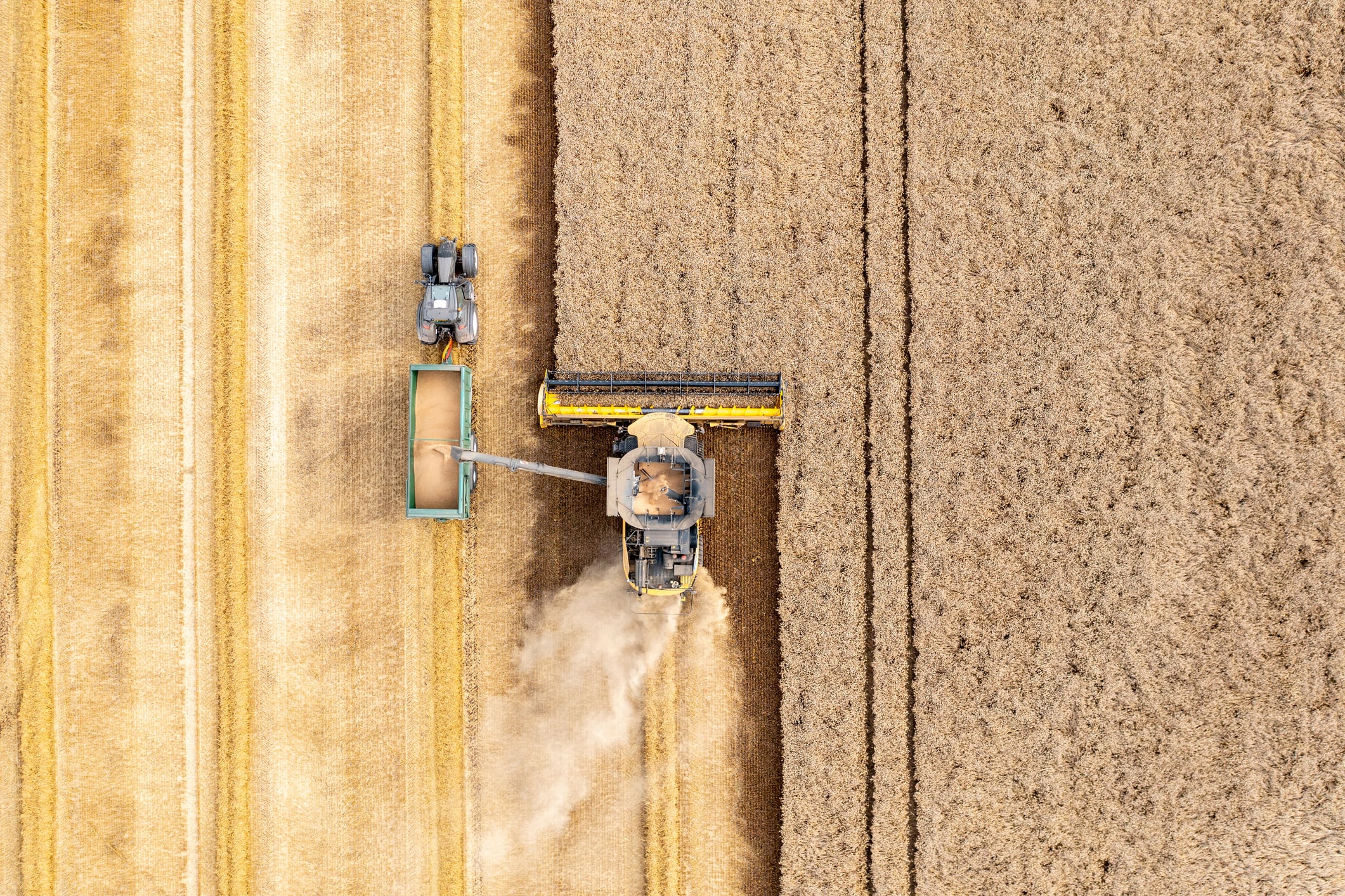 Weetabix on why lower-carbon farming ‘absolutely’ makes commercial sense