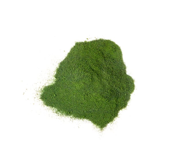 Study identifies spirulina as prime alt protein source for poultry feed