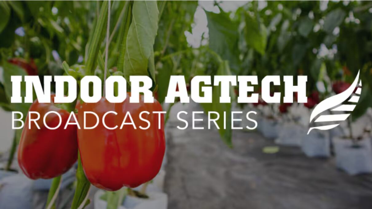 What future for Indoor Ag? Join our FREE digital broadcast series to find out