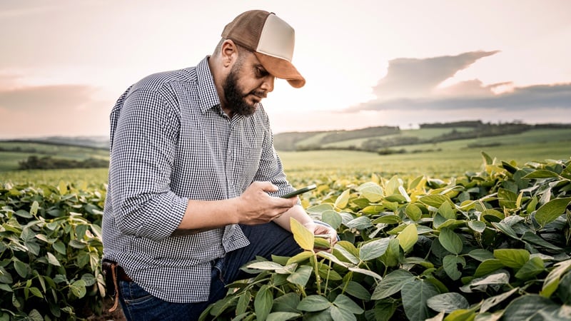 AI in Brazil’s ag sector: The Yield Lab Latam taps into opportunity with forthcoming fund 