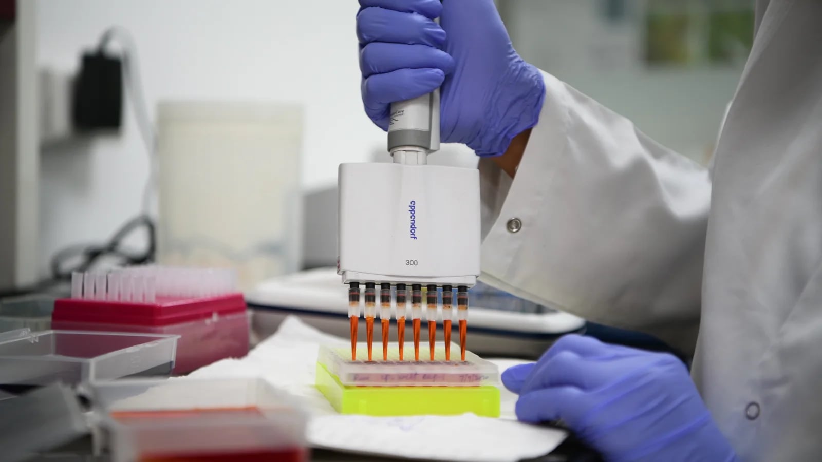 Hub and running: South Asia gets own ‘breeding hub’ to advance crop development in the region