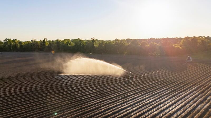 A sprayer in a field