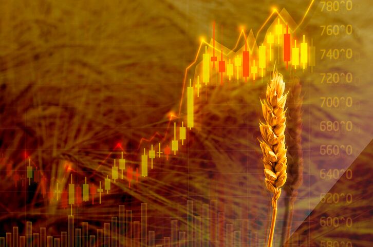 Agri-commodity tracker: Competitive Black Sea supplies and heavy feed grain balance could weigh on wheat prices 