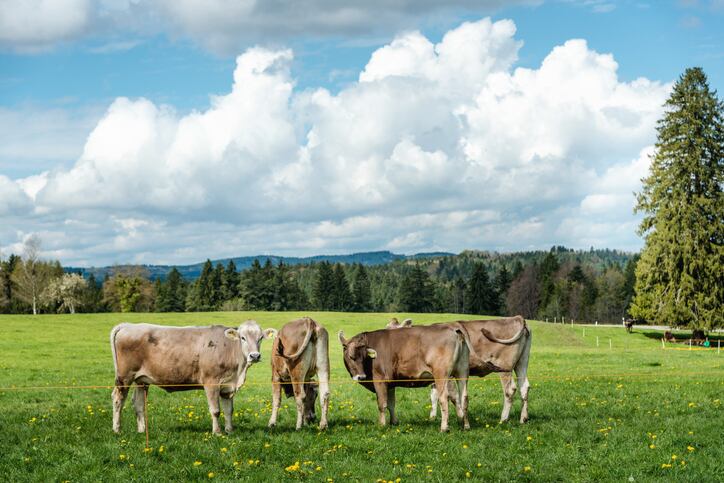Soil-Capital-raises-15-million-to-boost-agricultural-transition.jpg