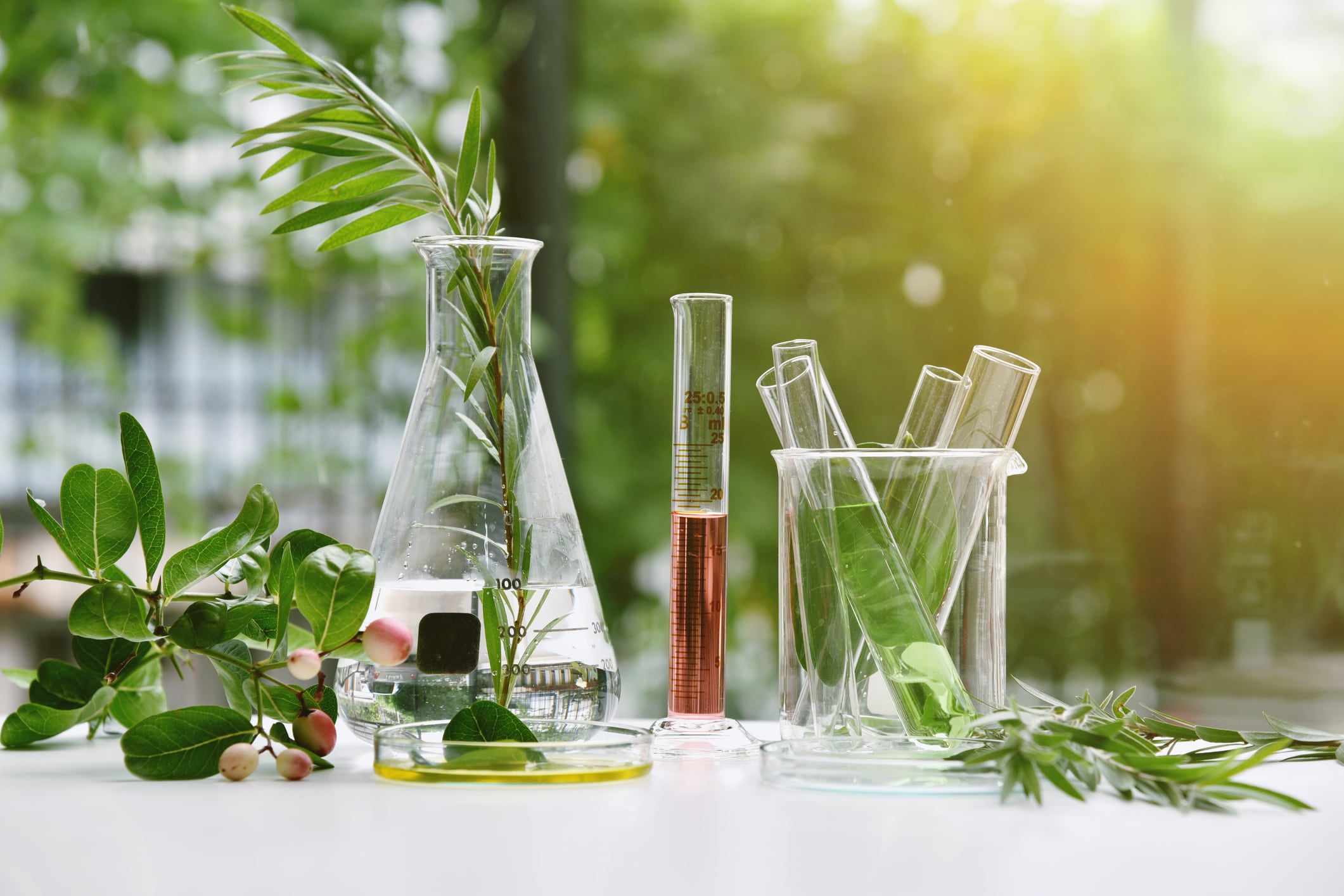 ‘A significant growth area’: New biostimulant standards boost testing demand in Australia