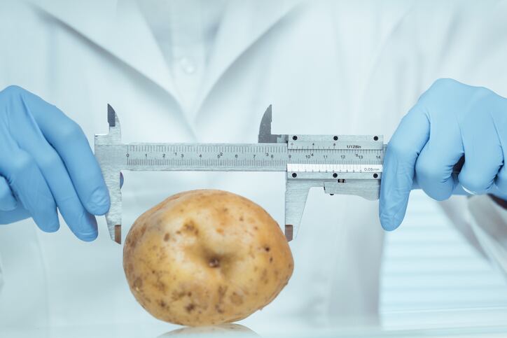 Scientists-boost-potato-stress-resistance-using-CRISPR.jpg