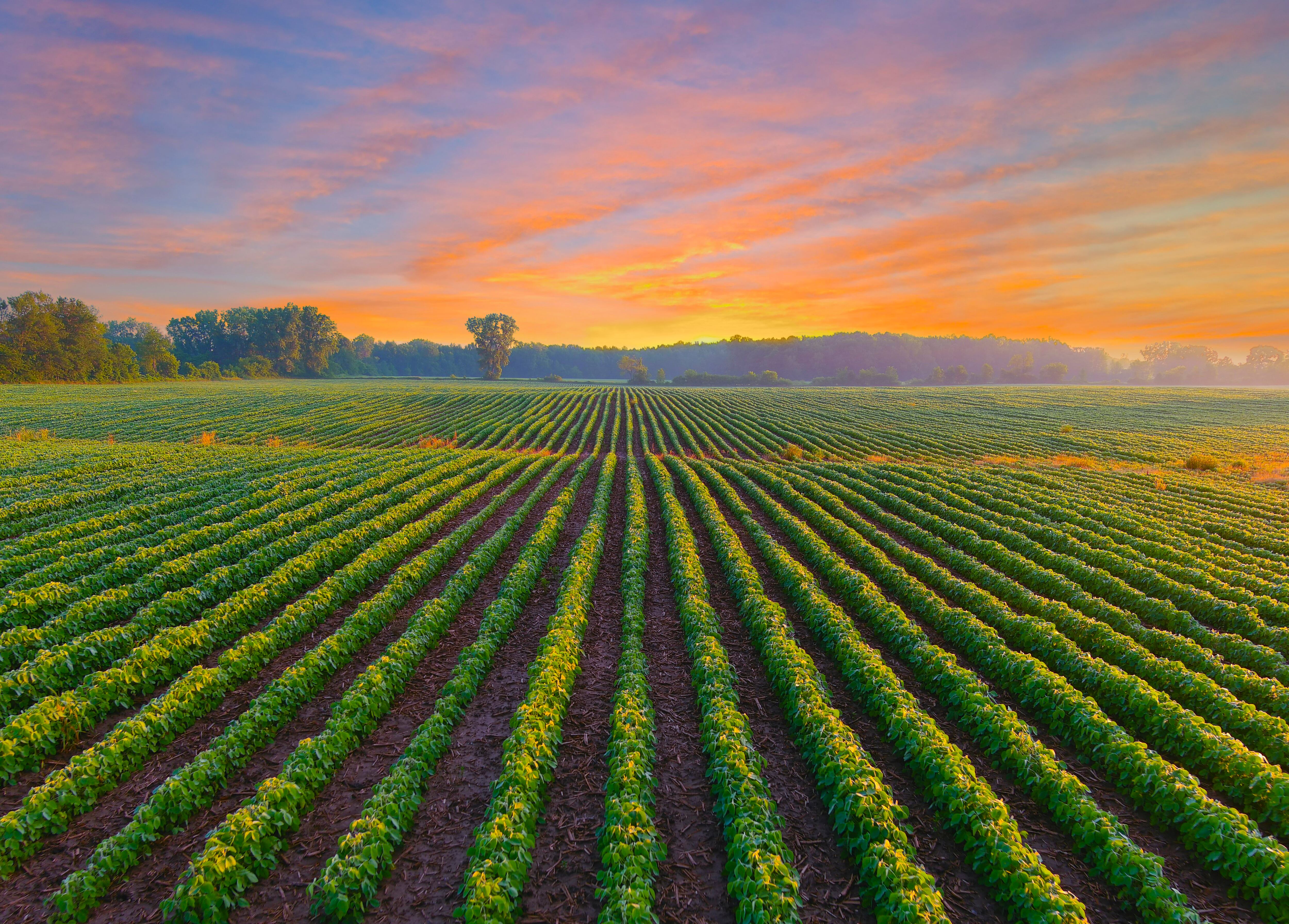 InnerPlant roll out on course after reaching regulatory milestone