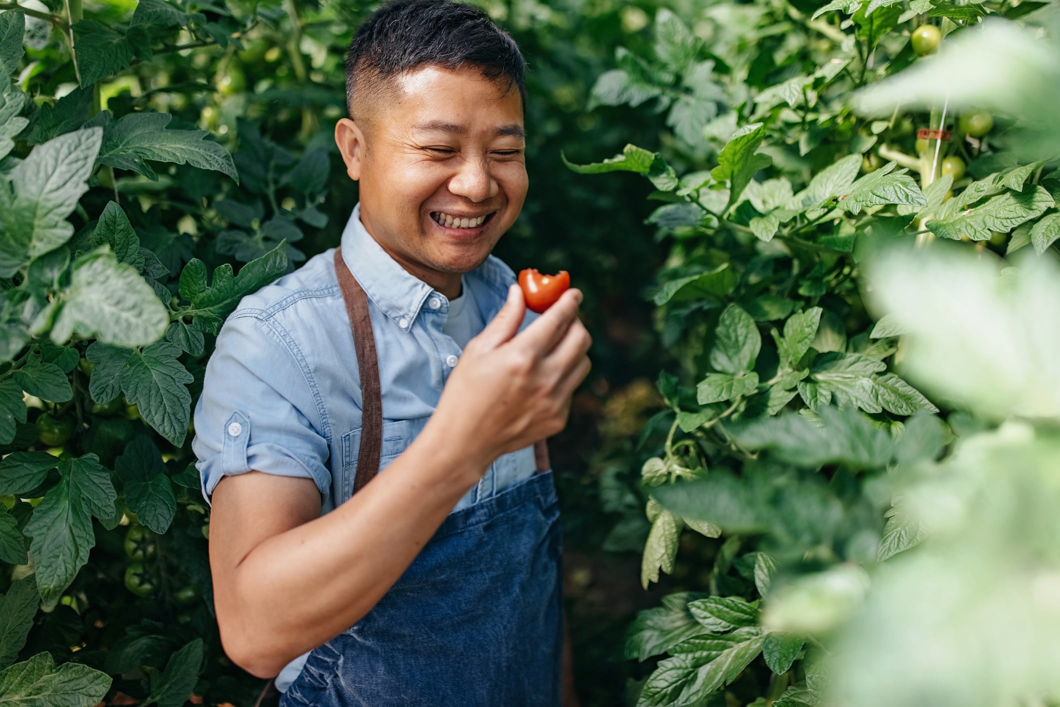 GM in China: Multi-pronged strategy focused on farmers, consumers needed to accelerate use