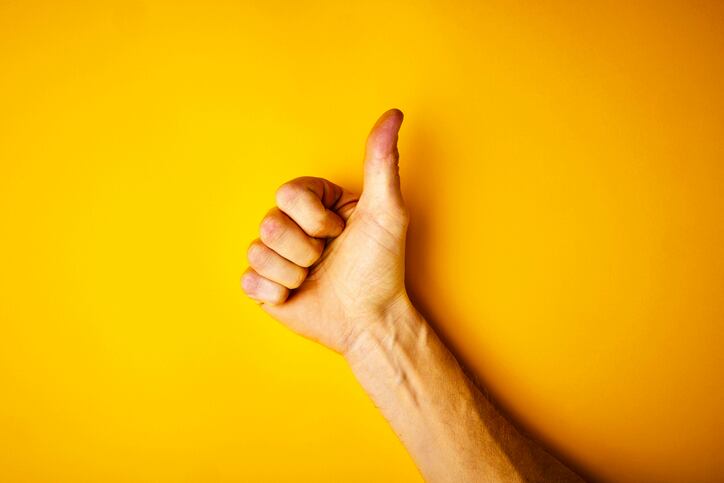 EFSA give thumbs up to DSM’s methane-reducing feed additive 