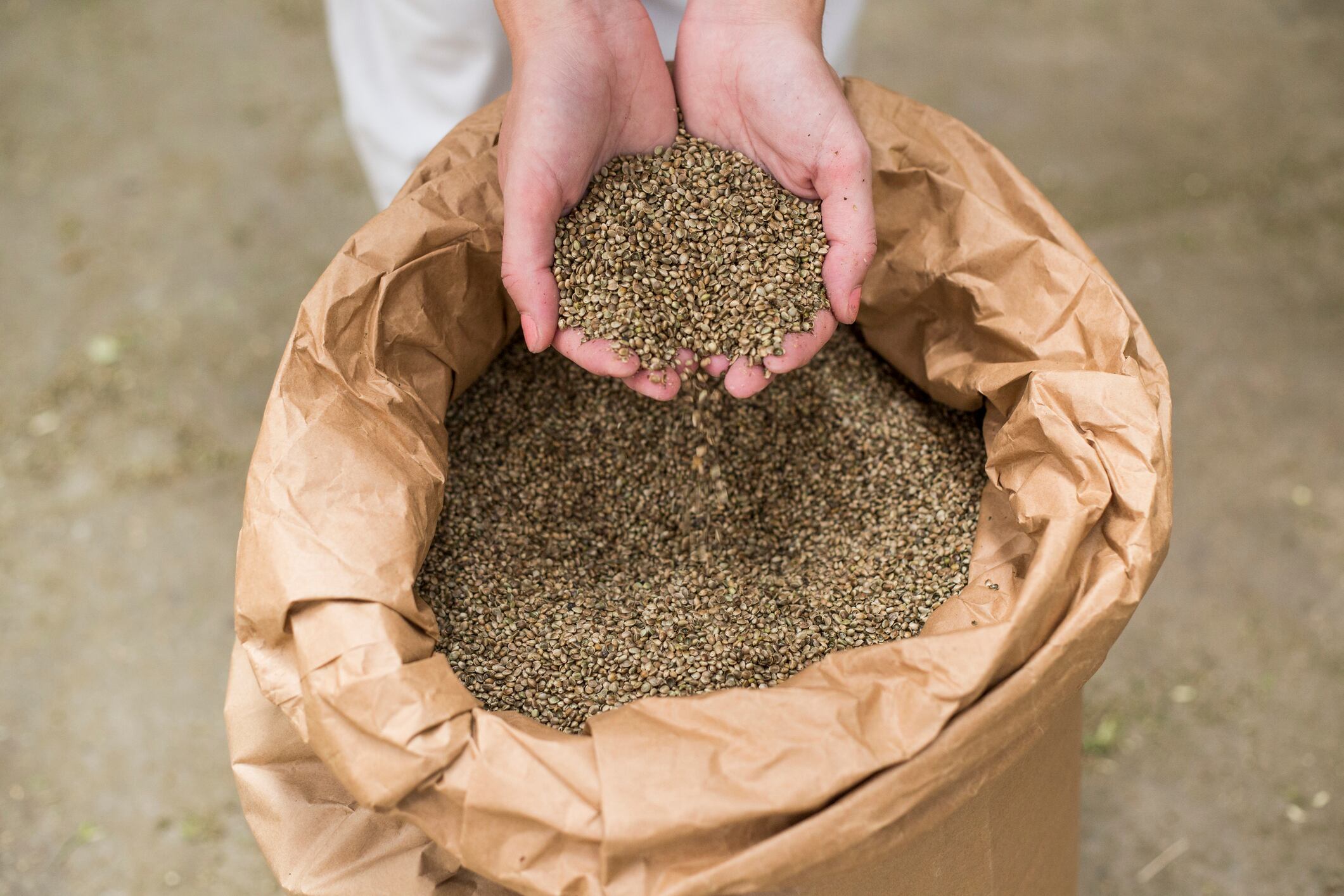 Hemp feed standards: Call for global regulatory alignment