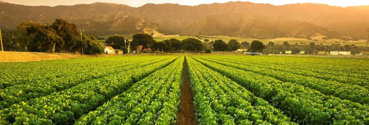 Can agriculture finally track nutrient use efficiency from plant to plate?