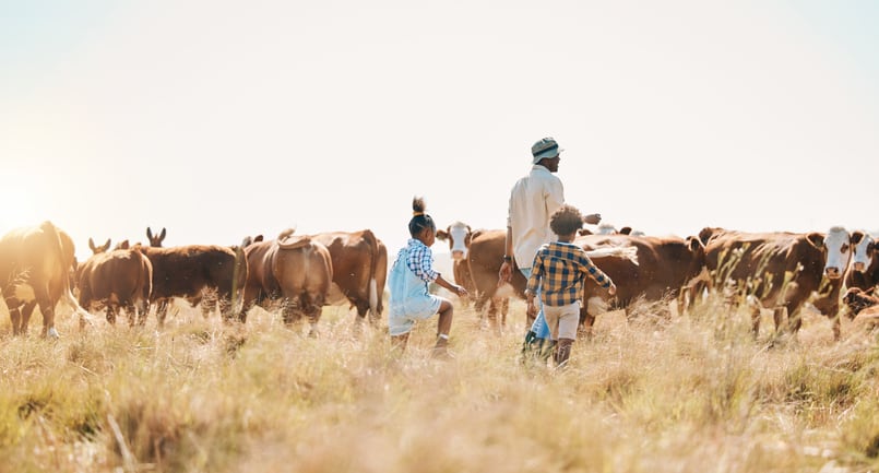 Gates Foundation backing BiomEdit’s work on methane blockers for beef and dairy cows